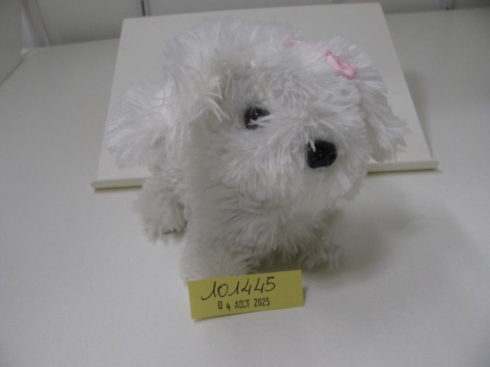 Jeux, jouets, peluches : N° 2025004683 Trouvé(e) le : Mon Aug 04 00:00:00 CEST 2025