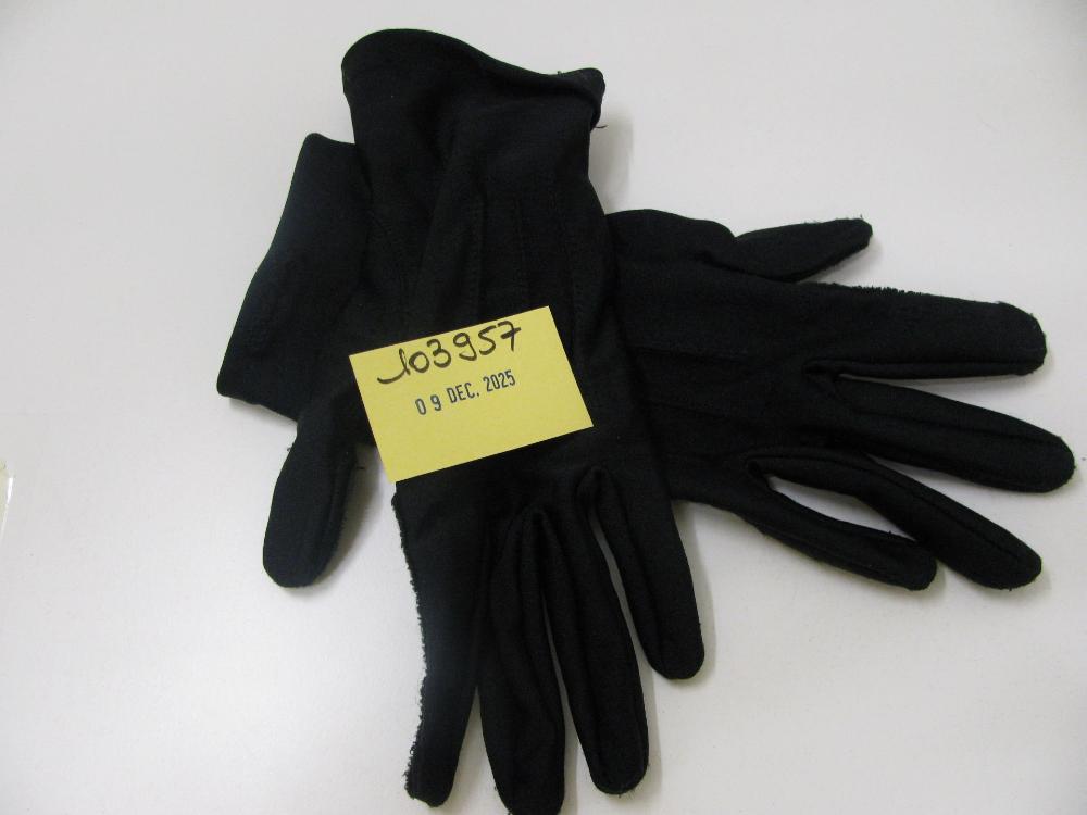 Vêtements, chaussures, accessoires : N° 2025007195 Trouvé(e) le : Wed Dec 10 00:00:00 CET 2025