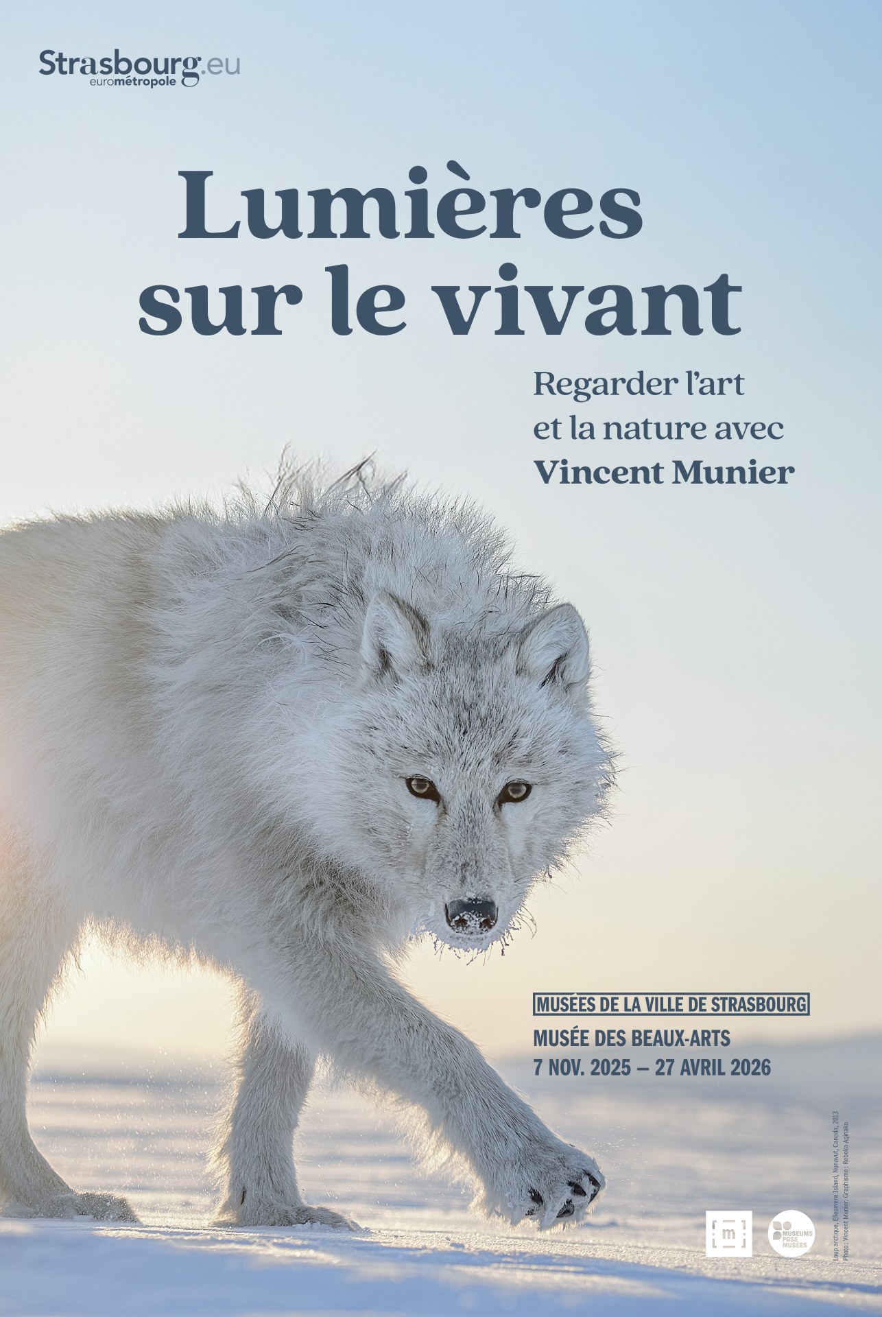 Enlightening the Living.  Observing Art and Nature with Vincent Munier