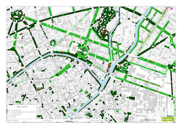 Patrimoine arboré de Strasbourg