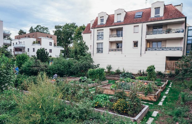Un premier jardin partagé à la Meinau